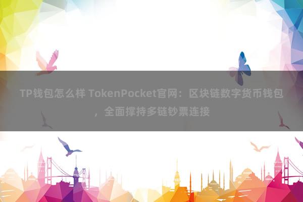 TP钱包怎么样 TokenPocket官网：区块链数字货币钱包，全面撑持多链钞票连接